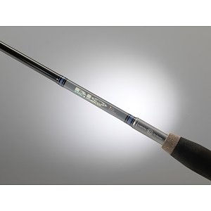 WFT Biosense Spin 2,70m 20-60g