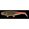 JACKSON The FISH 12,5