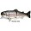 CASTAIC Real-Bait 15cm slow sinking
