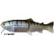 CASTAIC Real-Bait 15cm slow sinking