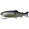 CASTAIC Real-Bait 15cm slow sinking