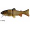 CASTAIC Real-Bait 15cm slow sinking