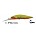 DUO Realis Jerkbait 100DR