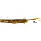 QUANTUM SPEZIALIST Pelagic Shad