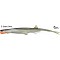 QUANTUM SPEZIALIST Pelagic Shad