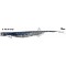 QUANTUM SPEZIALIST Pelagic Shad