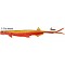QUANTUM SPEZIALIST Pelagic Shad