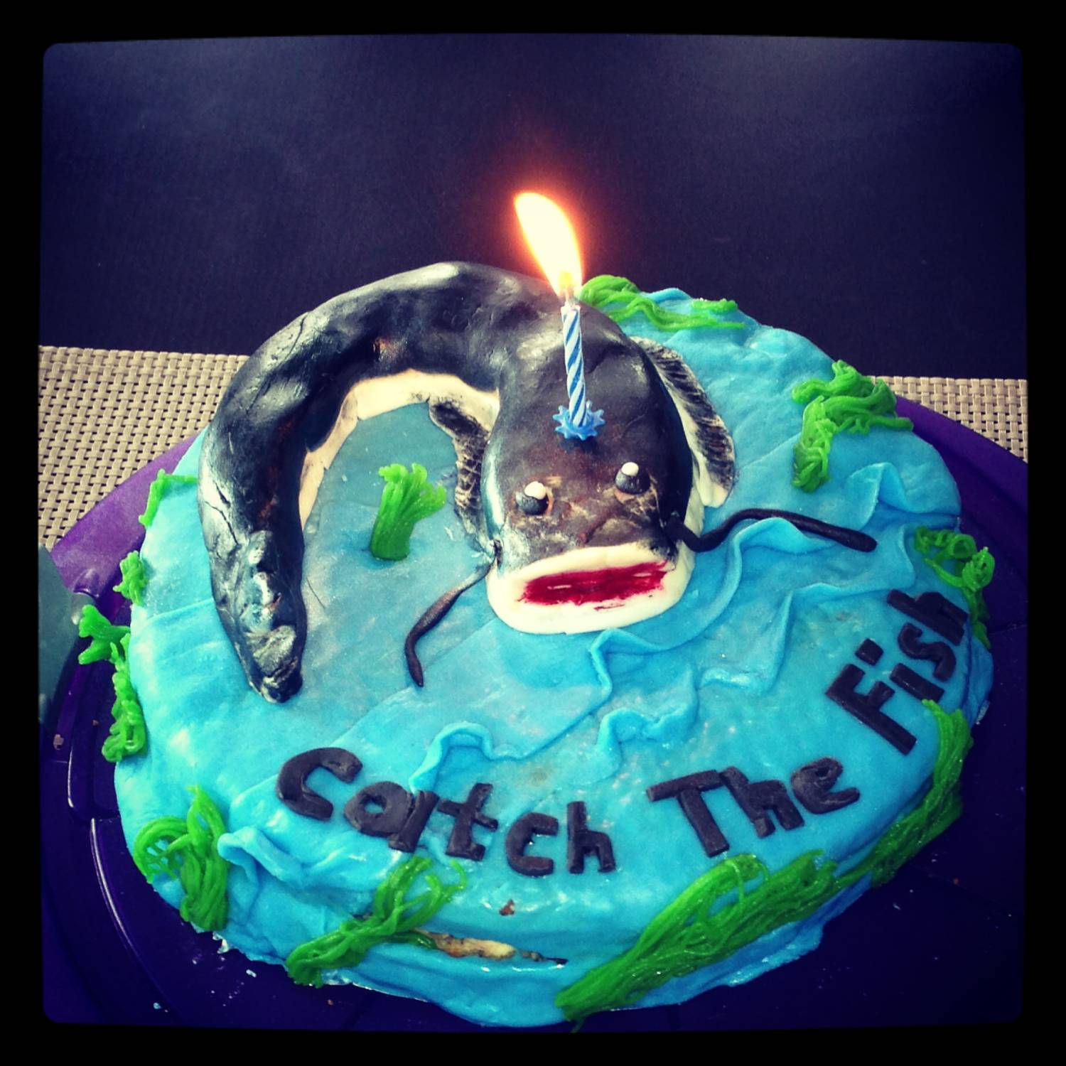 1 Jahr CATCH THE FISH